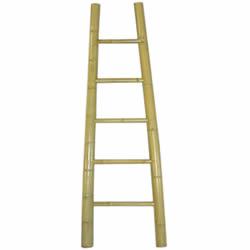 ladder image